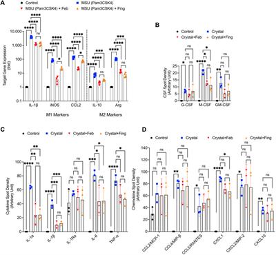 Protein phosphatase 2A regulates xanthine oxidase-derived ROS production in macrophages and influx of inflammatory monocytes in a murine gout model